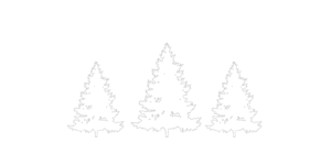 runyans logo