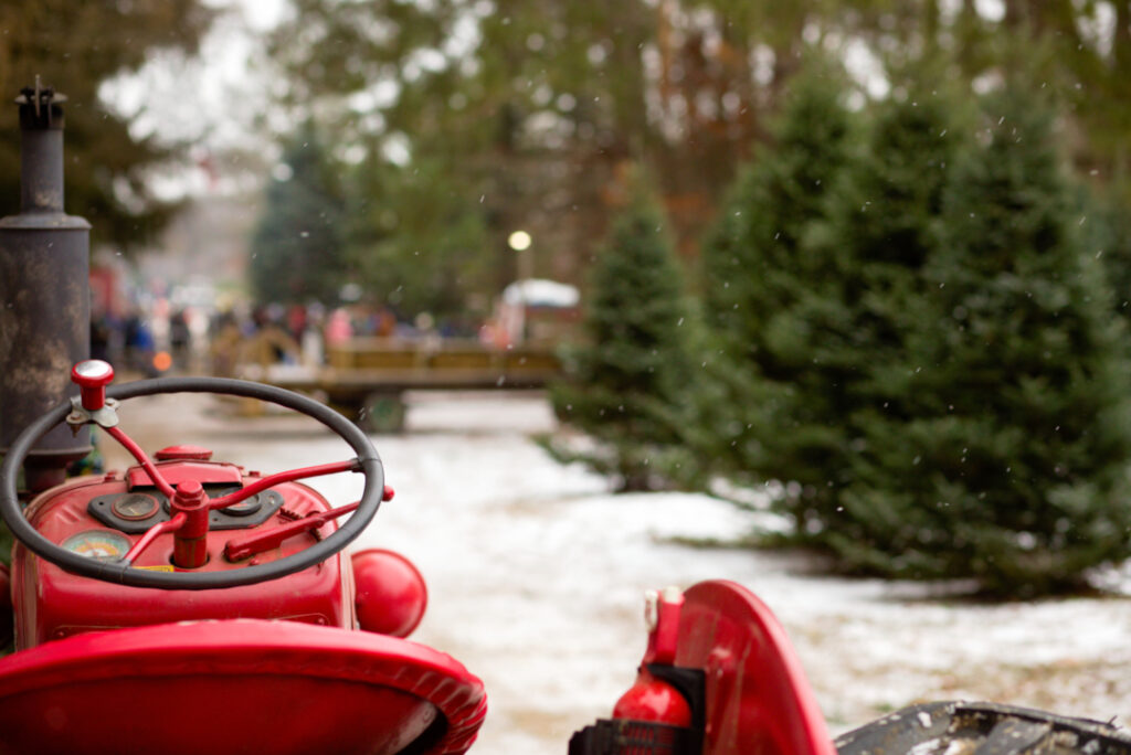 A red tractor facing the main gate of Runyan's Country Tree Farm, with people in the background and a hayride parked nearby