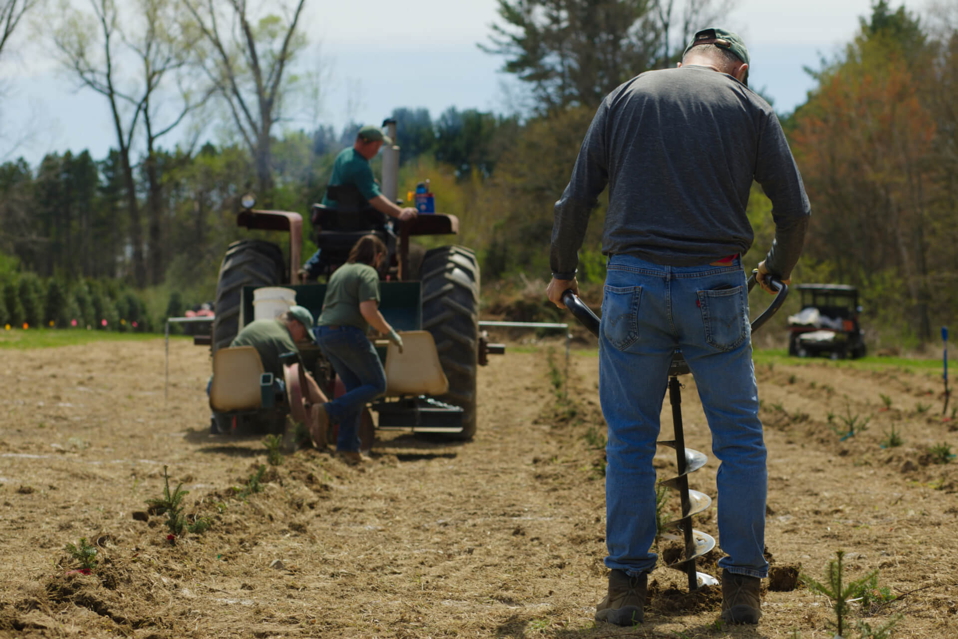 spring.816A1102.1920