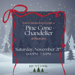 Pine Cone Chandelier Workshop - Saturday, Nov 21st